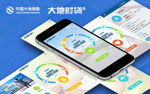 大地時(shí)貸官網(wǎng)網(wǎng)站設(shè)計(jì)與開發(fā)-網(wǎng)站制作公司